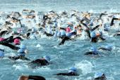 Natation