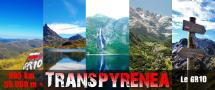 Transpyrenea