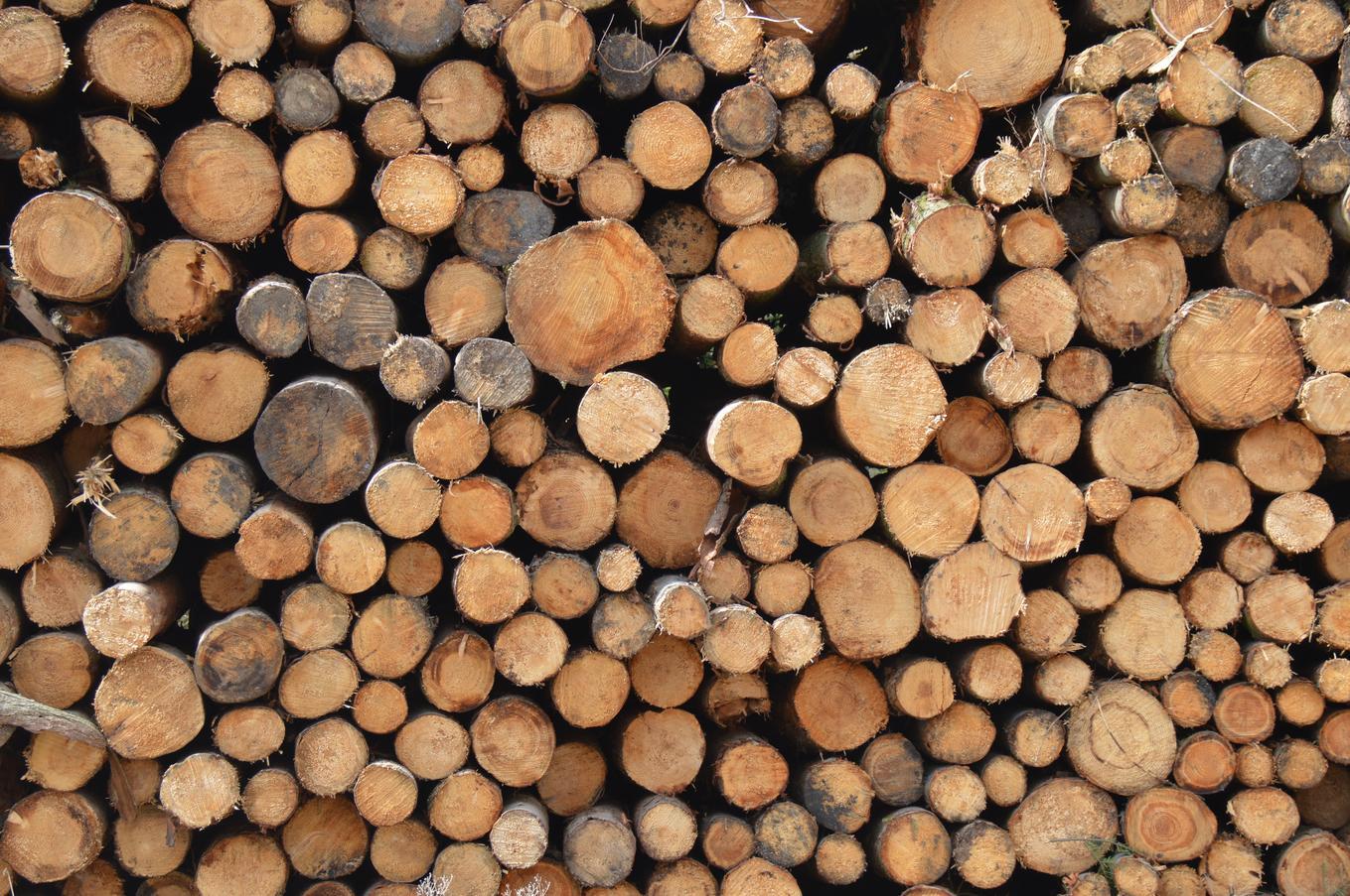 Il va faire froid cet hiver...