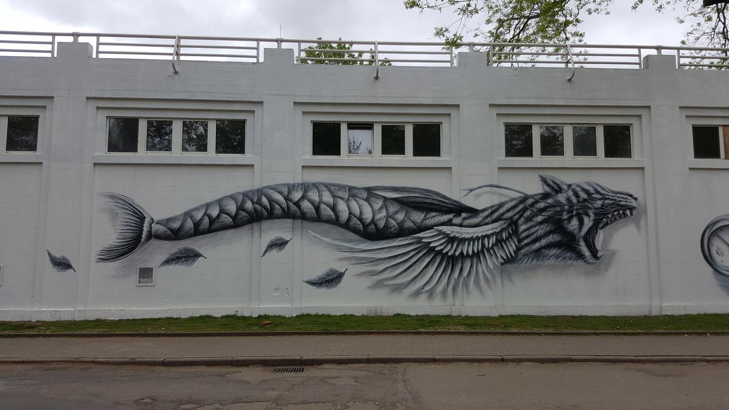 Le mystère du poisson chien