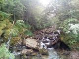 Ruisseau