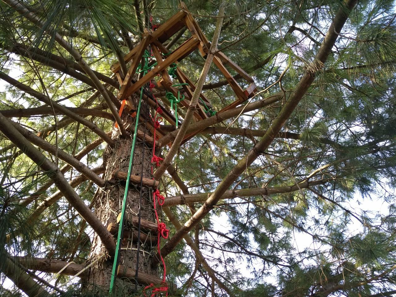 Under construction...