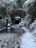 Neige
