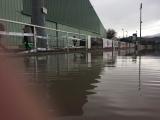 Epreuve de natation